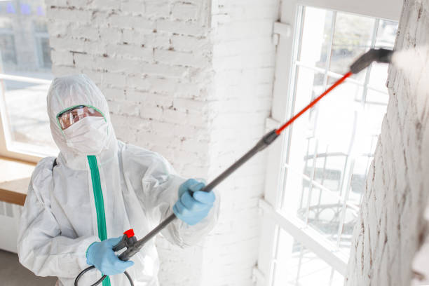 Best Biohazard Mold Removal  in Truth Or Consequences, NM