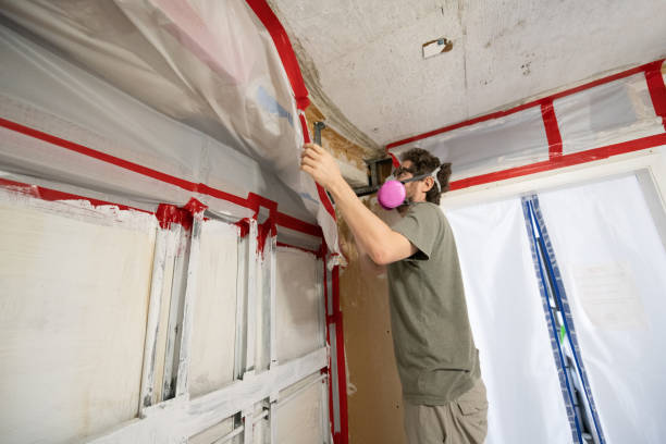 Best Attic Mold Removal  in Truth Or Consequences, NM