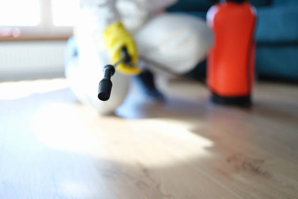 Best Residential Mold Inspection & Testing  in Truth Or Consequences, NM